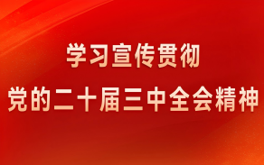 学习宣传贯彻党的二十届三中全会精神